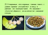 2) Отваренные или жареные семена гинкго с давних времен употребляют в пищу в районах его произрастания. Их называют «Золотой абрикос» из-за мясистой семенной кожуры.