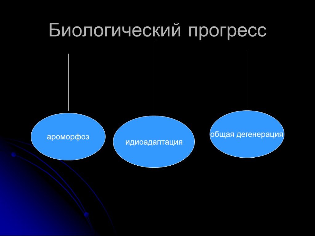 Биологический прогресс формы