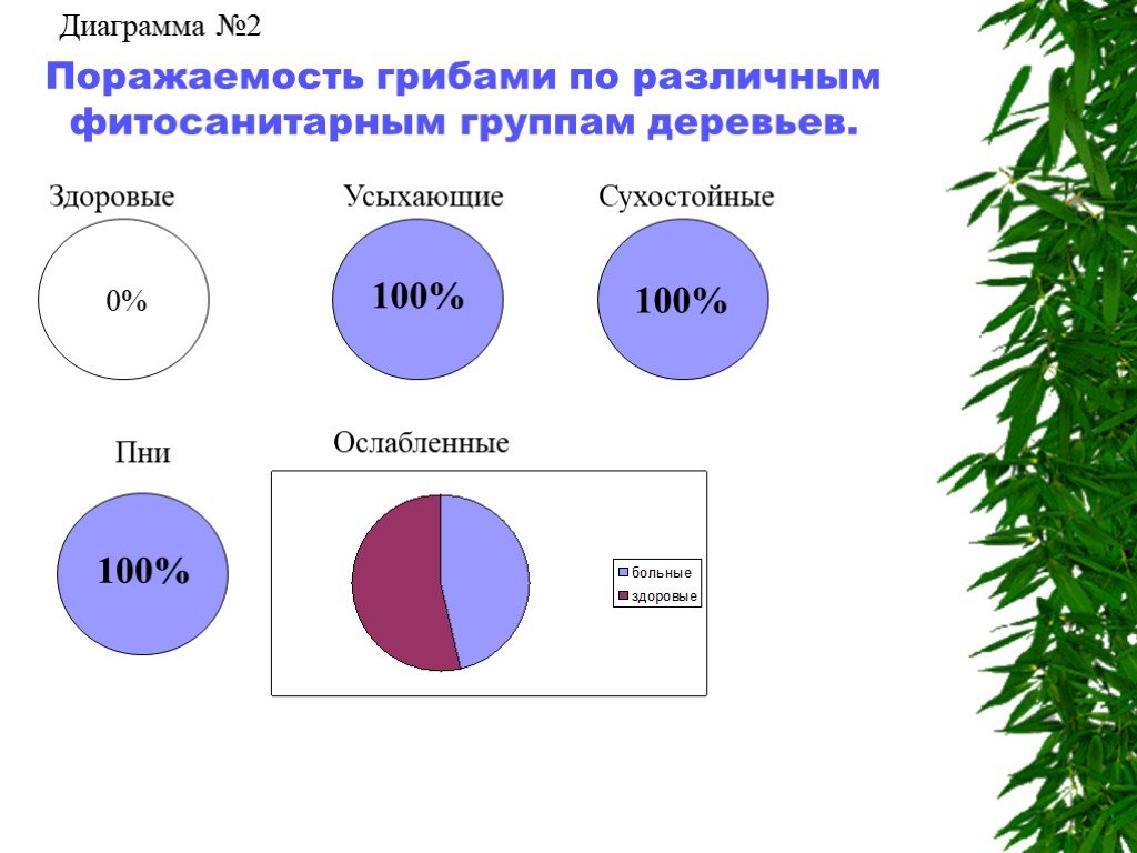 Диаграмма про деревья