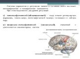 Система управления и регуляции памяти в головном мозге включает неспецифические и специфические компоненты. При этом выделяются два уровня регуляции: неспецифический (общемозговой) — сюда относят ретикулярную формацию, гипоталамус, неспецифический таламус, гиппокамп и лобную кору; модально-специфиче