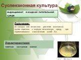 Суспензионная культура. http://bio-x.ru/. Характеристика: типичные каллусные клетки. выращивают в жидкой питательной среде. Получение: из каллуса или интактного растения (экспланта) путем переноса в жидкую питательную среду, при перемешивании и исключении солей Са