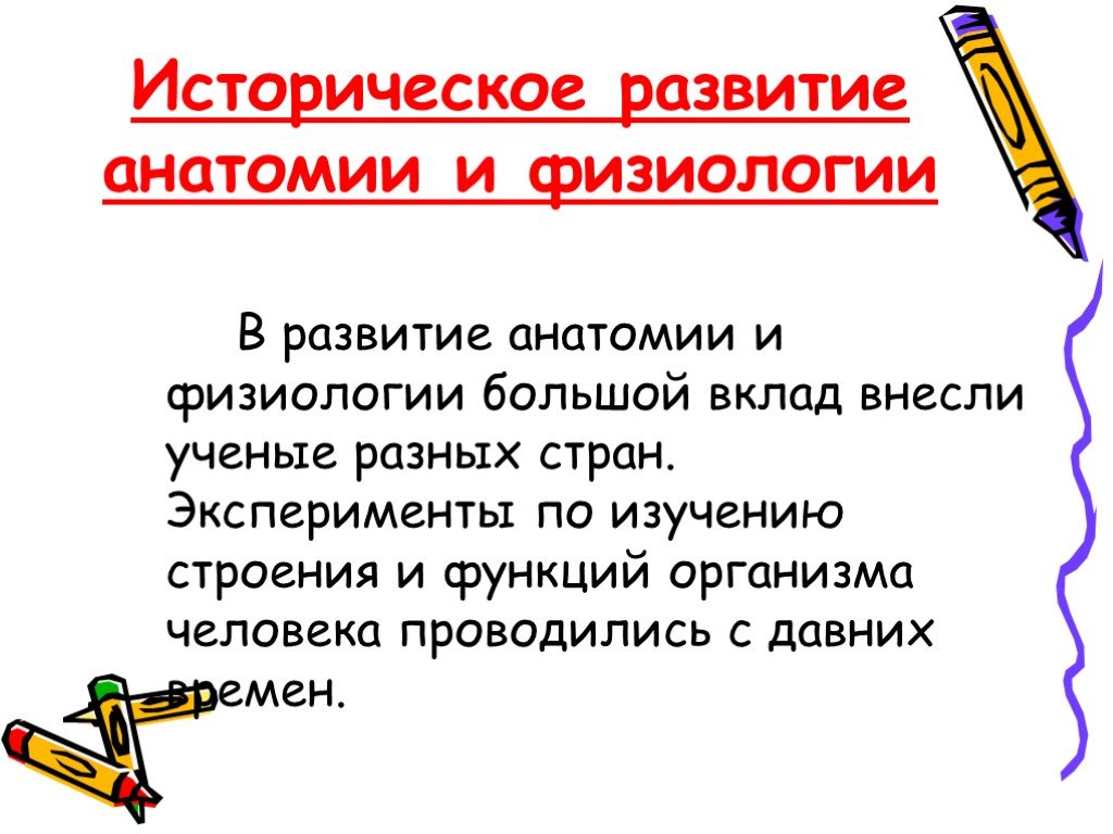 Презентация введение в анатомию и физиологию человека