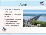 Амур. 2824 км (с Аргунью – 4400 км) Бассейн – 1,85 млн. кв. км Крупнейшие города – Благовещенск, Комсомольск - на-Амуре, Хабаровск