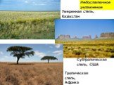 Умеренная степь, Казахстан. Субтропическая степь, США. Тропическая степь, Африка. Недостаточноеувлажнение