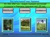 Растительный мир Украины. Из 300-350 тыс. видов высших растений планеты в Украине произрастает 25 тыс. запад восток Смешанные леса Лесостепи Степи