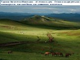 Главное богатство Монголии – её степи и луга. Степи и полупустыни используются как пастбища для домашних животных.