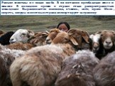 Раньше монголы не знали хлеба. В их питании преобладали мясо и молоко. В последнее время в стране стало распространяться земледелие. Выращивается пшеница, ячмень, овёс, просо. Мясо, шерсть, шкуры животных страна экспортирует за границу.