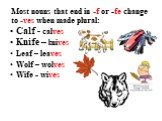 Most nouns that end in -f or -fe change to -ves when made plural: Calf - calves Knife – knives Leaf – leaves Wolf – wolves Wife - wives