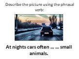 At nights cars often … … small animals.