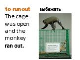 The cage was open and the monkey ran out. выбежать