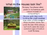 What do the Houses look like? Norway, has always taken pride in its harmony with nature instead of conquering it. Houses with their roofs looking like small meadows may seem a little strange in these modern times, but until the late 19th century, turf roofs were the most common type of roofs in rura