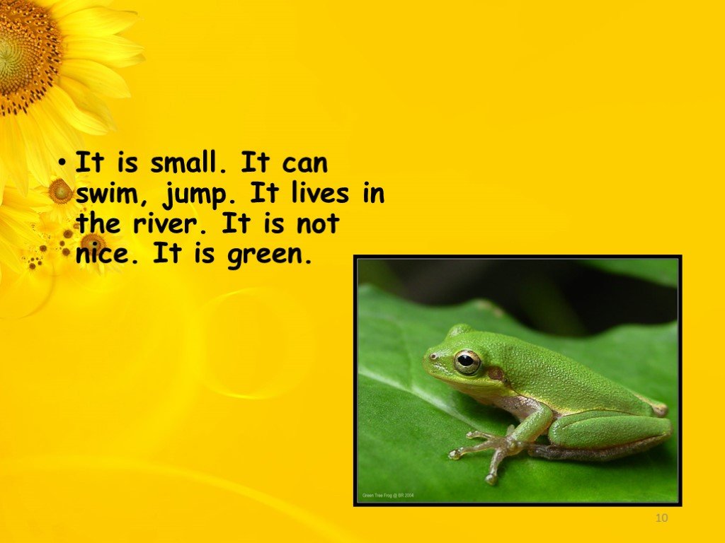 It s green. It is little. It is Yellow. It can Swim. This is a. It can Swim перевод. Не is a Green. It is Green.