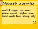 Phonetic exercise. capital, eagle, sea, road whale, camel, dolphin, town field, apple tree, sheep, city
