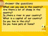 : Answer the questions. What can you see in the country? Are there a lot of sheep in the country? Is there a river in your country? What is a capital of our country? Do you live in the city? Do you have pets at home?