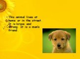 This animal lives at home or in the street. It is brave and strong. It is a man’s friend.