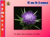 The national flower of Scotland is the thistle.