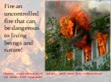 Пожежа неконтрольований вогонь, який може бути небезпечний для живих істот і природи! Fire an uncontrolled fire that can be dangerous to living beings and nature!