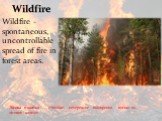 Лісова пожежа — стихійне, некероване поширення вогню по лісових площах. Wildfire Wildfire - spontaneous, uncontrollable spread of fire in forest areas.