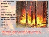 Лісові пожежі поділяють на низові, верхові, підземні. За інтенсивністю горіння лісові пожежі поділяються на слабкі, середні, сильні. Forest fires are divided into grassroots, Riding underground. The intensity of burning wildfires are divided into weak medium, strong.