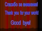 Спасибо за внимание! Thank you for your work! Good bye!