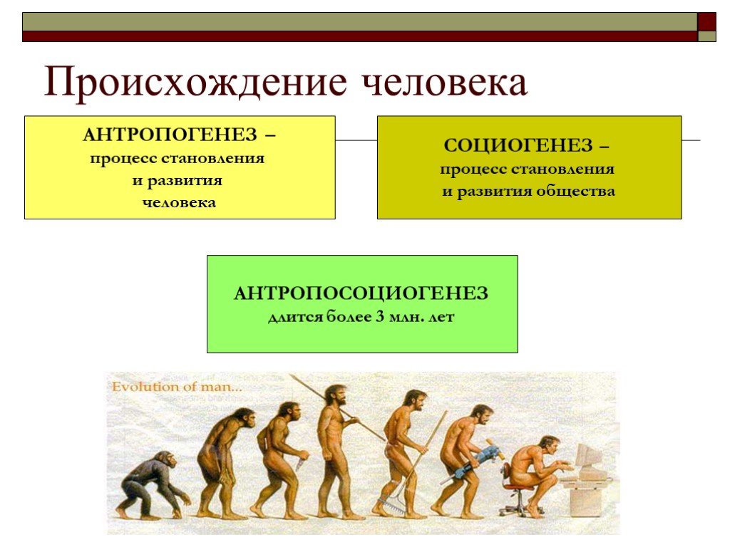 Процесс историко эволюционного становления человека как. Происхождение человека. Процесс становления человека. Эволюция человеческого общества. Антропогенез это процесс.