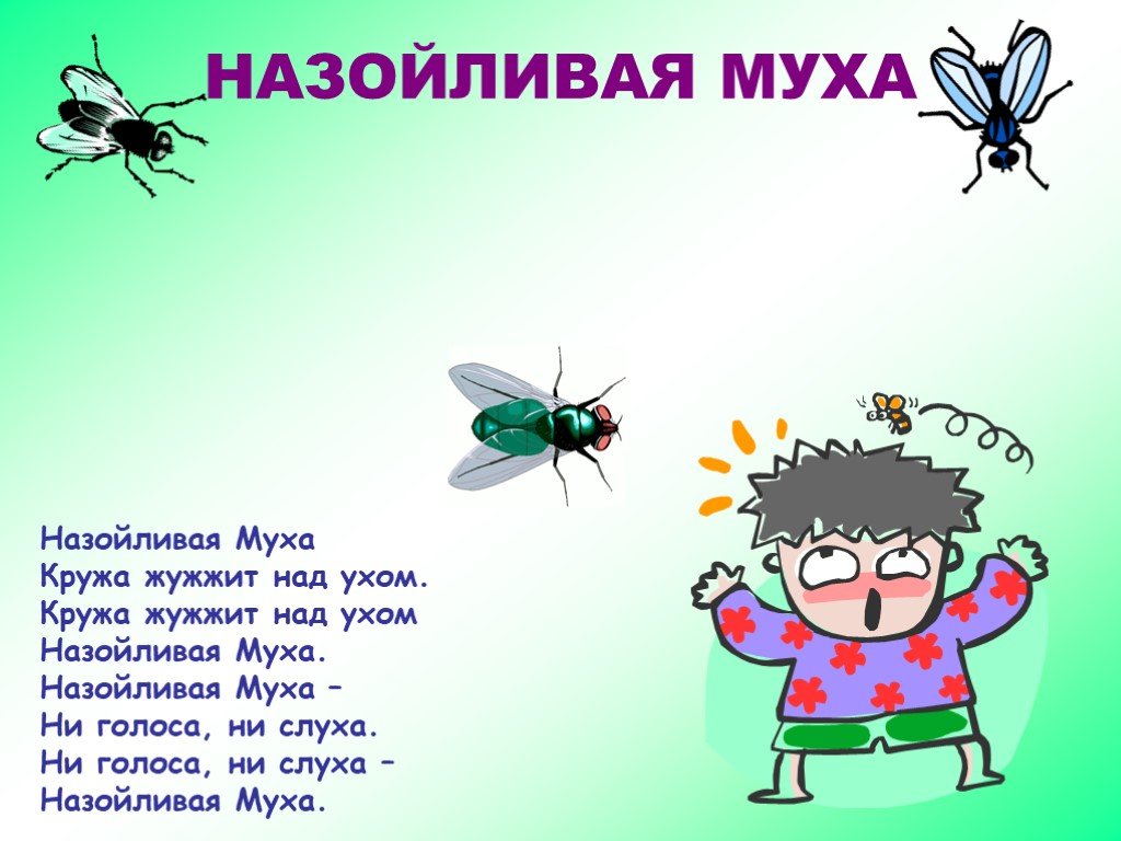 Мухи комары целый день жужжат. Назойливая Муха. Стишок про муху. Стих Муха. Стишок про муху для детей.