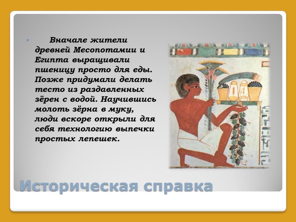 Что выращивали в египте. Чем питались жители древней Месопотамии. Что выращивали в древнем Египте. Чем питались в древнем Двуречье. Что выращивали египтяне.