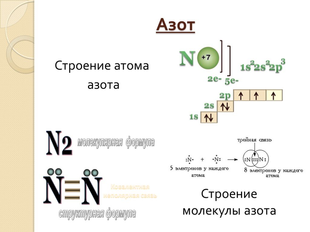 Изобразите схему атома и азота