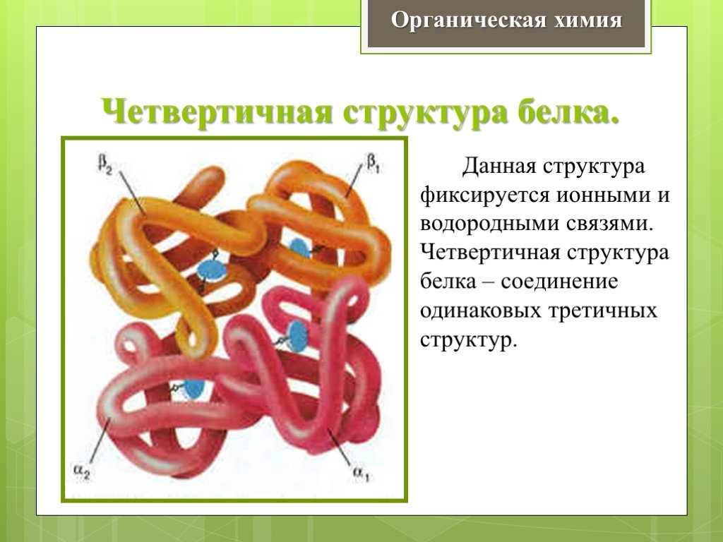 Третичная структура белка данная структура