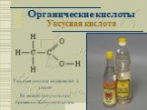Органические кислоты Уксусная кислота. Уксусная кислота содержится в уксусе Ее можно получить при брожении яблочного сидра.
