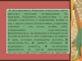 В исследованиях Барнарда некоторое место занимают проблемы планирования. По Барнарду, подлинное планирование – это «процесс разработки и применения знания и ума к нашим делам». Он вычленяет следующие, основные с его точки зрения, типы планирования: стратегическое, функциональное, эволюционное. Кажды