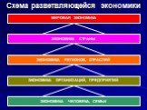 МИРОВАЯ ЭКОНОМИКА. ЭКОНОМИКА СТРАНЫ. ЭКОНОМИКА РЕГИОНОВ, ОТРАСЛЕЙ. ЭКОНОМИКА ОРГАНИЗАЦИЙ, ПРЕДПРИЯТИЙ. ЭКОНОМИКА ЧЕЛОВЕКА, СЕМЬИ. Схема разветвляющейся экономики