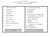 Топтық жұмыс I топ прокариоттар II топ эукариоттар Әр топ өз организмдерін табады. II Топ 2, 5, 6, 7-прокариоттар