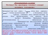 Прокариоттар (лат «про» - 1 және грек. «карион» 2____) – толық қалыптасқан «3______» болмайды және 4__________ тұрады, сонымен қоса органеллалары аз болады. Осы организмдерге тән ерекше белгі 5___________ жүйесі болмайды. Прокариоттардың цитоплазмасында 6___________ орналасады және 7______________. 