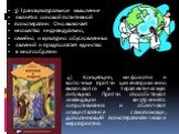 3) Транскультуральное мышление является основой позитивной психотерапии. Оно включает множество индивидуально, семейно и культурно обусловленных явлений и предполагает единство в многообразии. 4) Концепции, мифология и восточные притчи целенаправленно включаются в терапевтическую ситуацию. Притчи сп