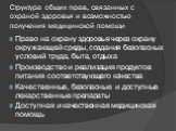 Структура общих прав, связанных с охраной здоровья и возможностью получения медицинской помощи. Право на охрану здоровья через охрану окружающей среды, создания безопасных условий труда, быта, отдыха Производство и реализация продуктов питания соответствующего качества Качественные, безопасные и дос