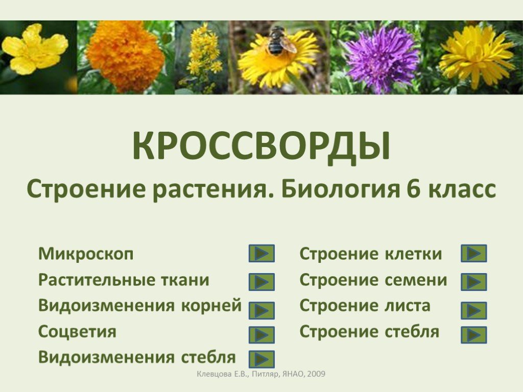 Вопросы биологии растения. Растения биология. Биология тема растения. Растения биология 6 класс. Кроссворд строение растений.