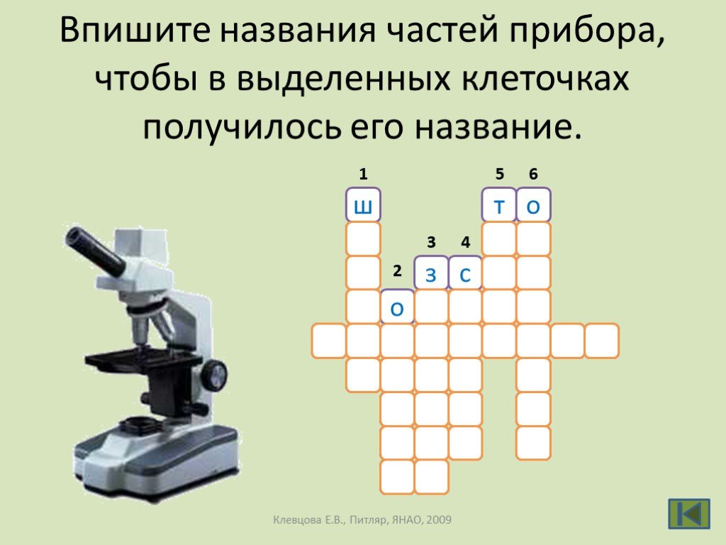 Игра для 5 класса по биологии презентация