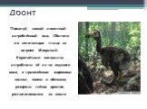 Дронт. Пожалуй, самый известный истреблённый вид. Обитала эта нелетающая птица на острове Маврикий. Европейские колонисты истребляли её из-за вкусного мяса, а привезённые моряками свиньи, кошки и обезьяны разоряли гнёзда дронтов, располагавшиеся на земле.