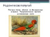 Родригесов попугай. Пёстрая птичка обитала на Маскаренских островах. Предполагаемая причина исчезновения– охота.