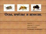 Осы, пчёлы и шмели. Работа ученицы 2-1 класса школы №2000 Кобяковой Александры