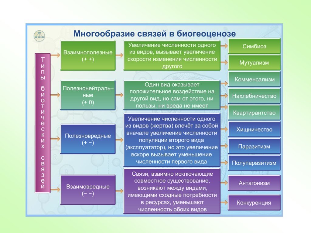 Многообразием элементов. Типы связей в биогеоценозе. Типы взаимоотношений в биогеоценозе. Типы связей в биогеоценозе таблица. Многообразие связей в биогеоценозе.