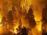 В последнее время угрожающим фактором для горных склонов и насаждений древесных и кустарниковых пород стали катастрофические пожары, вызванные природными и антропогенными факторами. Нередко спонтанно и планово идёт порубка Бештаугорского, Машукского и других горных лесных массивов. В результате осла