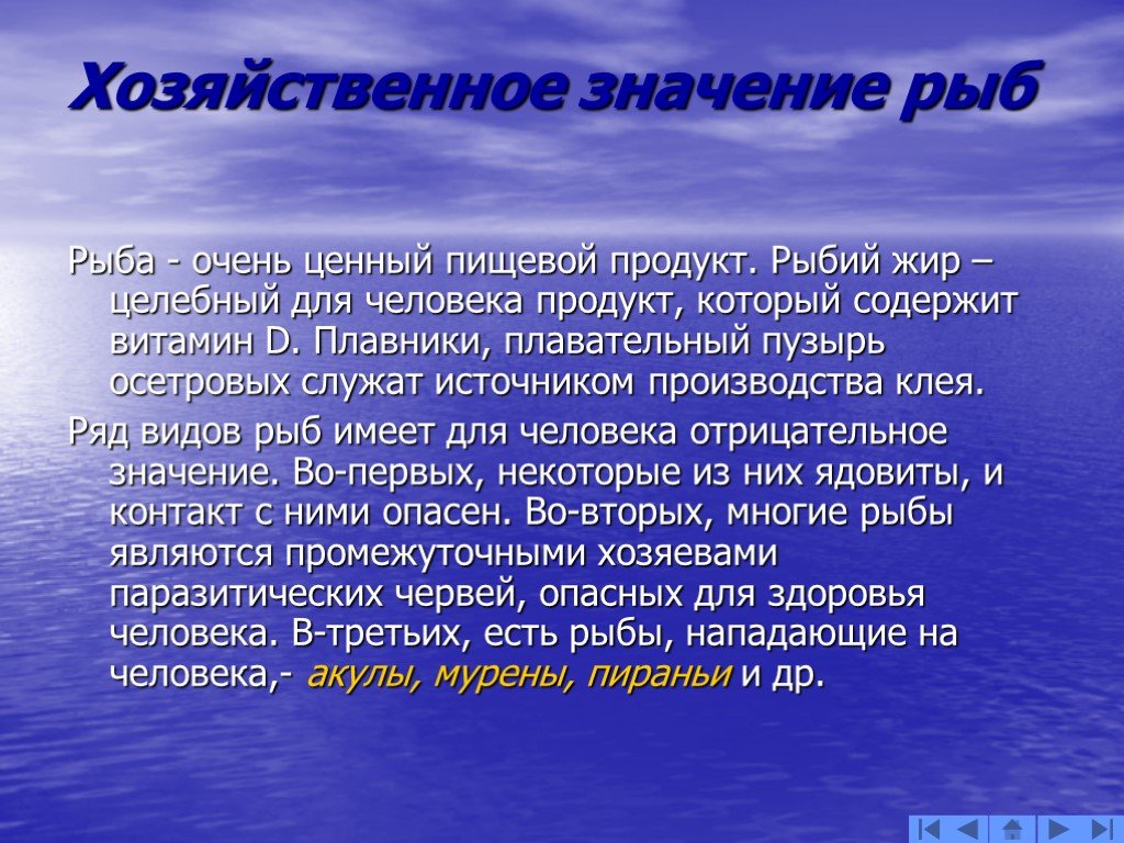 Класс рыб тема. Рыбы в природе и жизни человека. Хозяйственное значение рыб. Роль рыб в жизни человека. Хозяйственное значение рыб кратко.