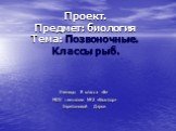 Проект. Предмет: биология Тема: Позвоночные. Классы рыб. Ученицы 8 класса «Б» МОУ гимназии №2 «Квантор» Харитоновой Дарьи