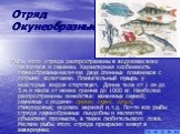 Отряд Окунеобразные. Рыбы этого отряда распространены в водоемах всех материков и океанах. Характерная особенность окунеобразных-наличие двух спинных плавников с острыми колючками. Плавательный пузырь у некоторых видов отсутствует. Длина тела от 1 см до 5 м и масса от менее грамма до 1000 кг. Наибол