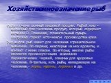 Хозяйственное значение рыб. Рыба - очень ценный пищевой продукт. Рыбий жир – целебный для человека продукт, который содержит витамин D. Плавники, плавательный пузырь осетровых служат источником производства клея. Ряд видов рыб имеет для человека отрицательное значение. Во-первых, некоторые из них яд