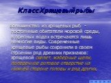 Класс Хрящевый рыбы. Большинство из хрящевых рыб - постоянные обитатели морской среды, в пресных водах встречаются лишь немногие виды. Современные хрящевые рыбы сохранили в своем строении ряд древних признаков: хрящевой скелет, жаберные щели, поперечное ротовое отверстие на нижней стороне головы и р