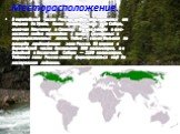 Месторасположение. В европейской части России тайга простирается от Карелии до Урала, далее тянется через всю Сибирь, включая Камчатку и Сахалин. На юго-западе и юго-востоке тайга переходит в полосу смешанных и широколиственных лесов. Тайга — самая большая по площади ландшафтная зона России. Её шири