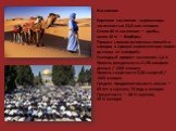 Население: Коренное население - марокканцы численностью 33,8 млн человек. Около 60 % населения — арабы, около 40 % — берберы. Процесс слияния различных племён и народов в единую марокканскую нацию до конца не завершён. Ежегодный прирост населения: 1,6 % Уровень рождаемости 21,98 новорож - денных / 1
